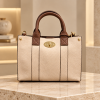 3-in-1 Mini Purse
