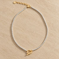 2 tone Sparkle Toggle Necklace